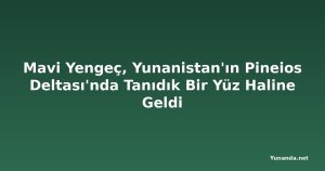 Mavi Yengeç, Yunanistan'ın Pineios Deltası'nda Tanıdık Bir Yüz Haline Geldi