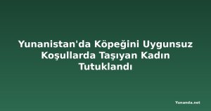 Yunanistan'da Köpeğini Uygunsuz Koşullarda Taşıyan Kadın Tutuklandı