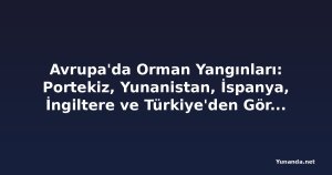 Avrupa'da Orman Yangınları: Portekiz, Yunanistan, İspanya, İngiltere ve Türkiye'den Görüntüler