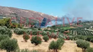 Knossos Arkeolojik Alanında Yangın Çıktı, Geçici Olarak Evacuation Yapıldı