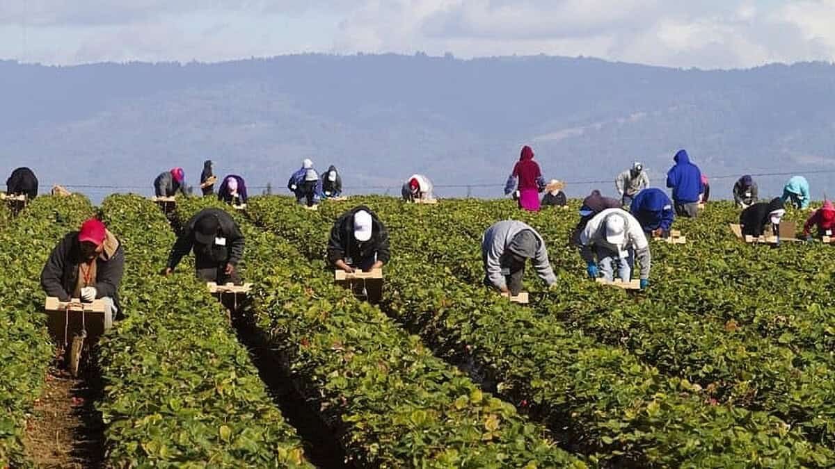 Yunanistan'da Aşırı Sıcaklarda Açık Havada Çalışma Yasağı