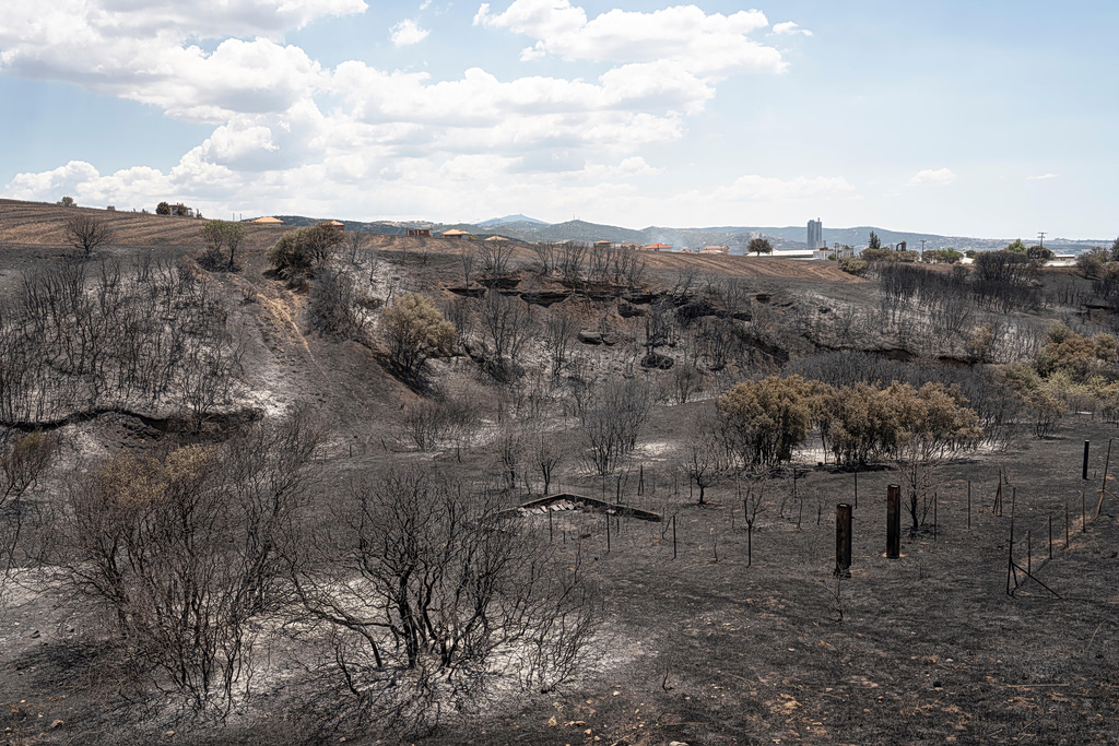 Why Wildfires Are Increasing in Northern Greece