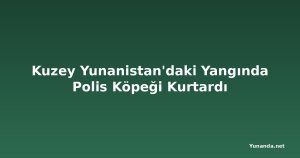 Kuzey Yunanistan'daki Yangında Polis Köpeği Kurtardı