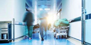 Yunanistan'ın Lamia Kentinde Tavuk Tüketimi Sonrası Salmonella Salgını