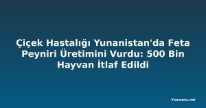 Çiçek Hastalığı Yunanistan'da Feta Peyniri Üretimini Vurdu: 500 Bin Hayvan İtlaf Edildi
