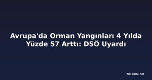Avrupa'da Orman Yangınları 4 Yılda Yüzde 57 Arttı: DSÖ Uyardı
