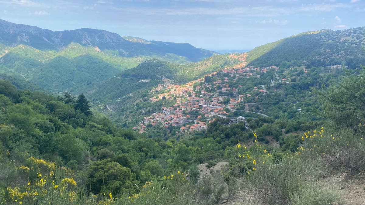 Menalon Patikası orman