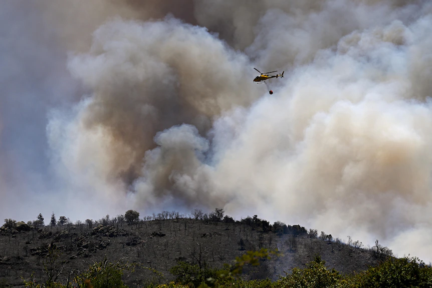 Yangın söndürme helikopteri yanan bir dağ yamacının üzerinde uçuyor