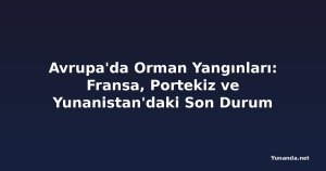 Avrupa'da Orman Yangınları: Fransa, Portekiz ve Yunanistan'daki Son Durum