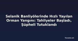 Selanik Banliyölerinde Hızlı Yayılan Orman Yangını: Tahliyeler Başladı, Şüpheli Tutuklandı