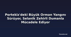 Portekiz'deki Büyük Orman Yangını Sürüyor, Selanik Zehirli Dumanla Mücadele Ediyor