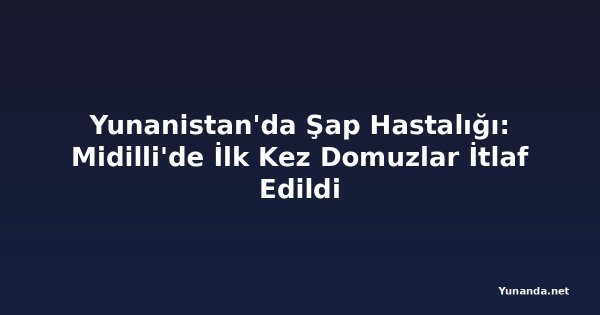 Yunanistan'da Şap Hastalığı: Midilli'de İlk Kez Domuzlar İtlaf Edildi