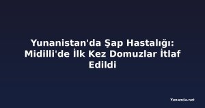 Yunanistan'da Şap Hastalığı: Midilli'de İlk Kez Domuzlar İtlaf Edildi