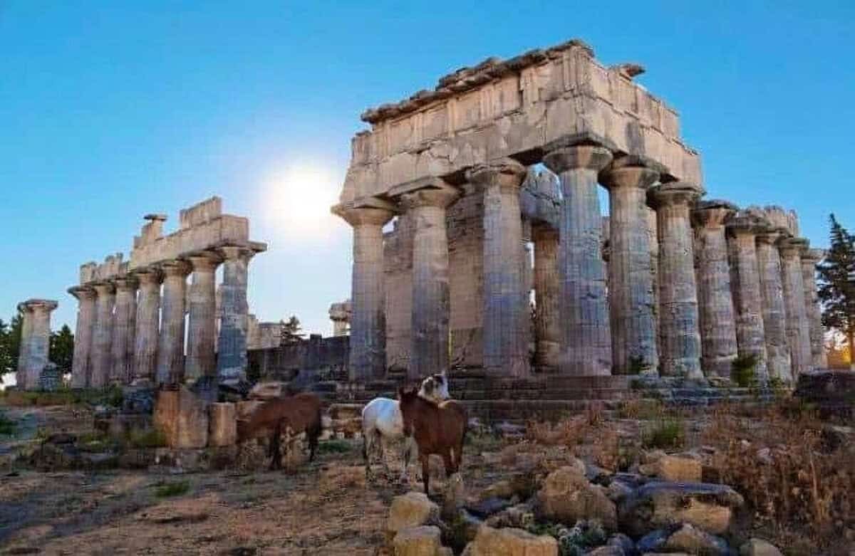 Libya'daki Antik Yunan Kentleri Kyrene ve Apollonia'yı Kurtarma Mücadelesi