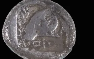 İsrail Sahilinde 2500 Yıllık Nadir Kıbrıs Sikkesi Bulundu