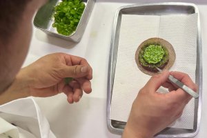 San Francisco’daki Meksika Restoranı 3 Michelin Yıldızıyla Tarih Yazdı, Stereotipleri Yıktı