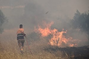 Yunanistan'da Yangın: Böotya'daki Agios Vasileios Sahili'nden Deniz Yoluyla Tahliye