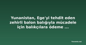 Yunanistan, Ege'yi tehdit eden zehirli balon balığıyla mücadele için balıkçılara ödeme yapacak
