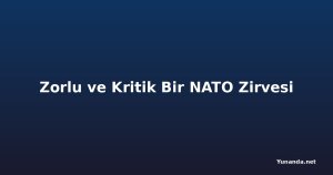 Zorlu ve Kritik Bir NATO Zirvesi