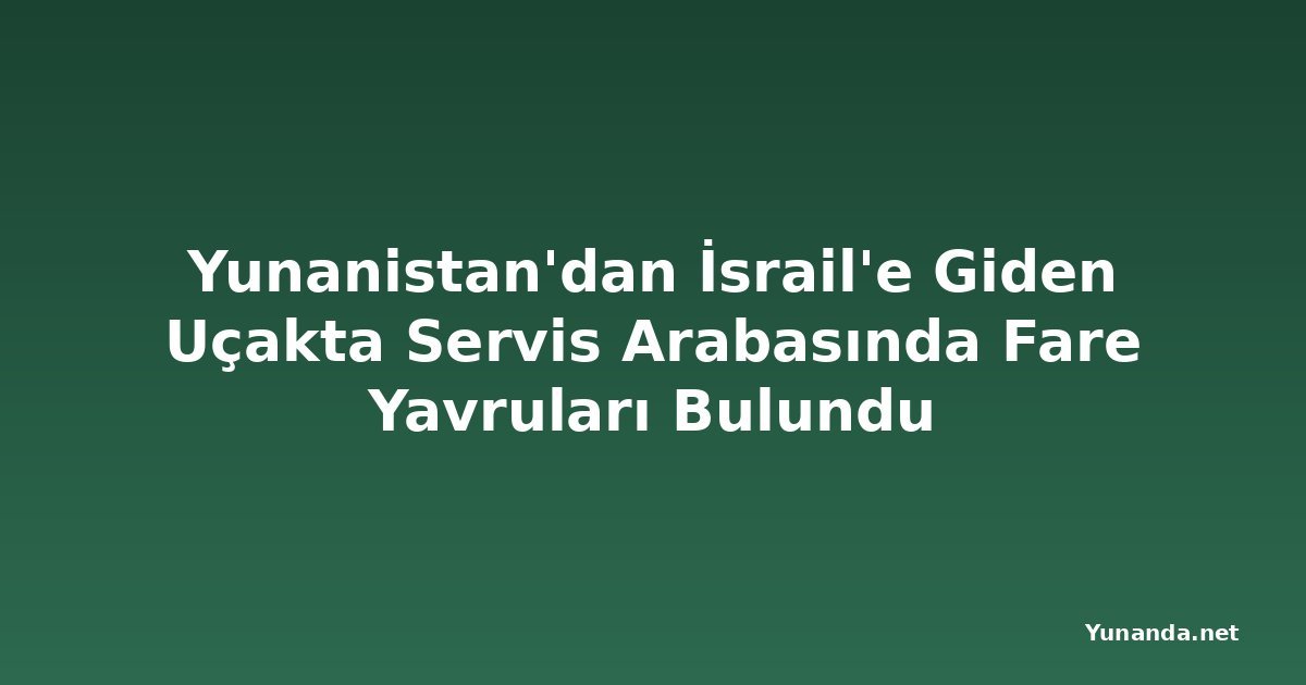 Yunanistan'dan İsrail'e Giden Uçakta Servis Arabasında Fare Yavruları Bulundu
