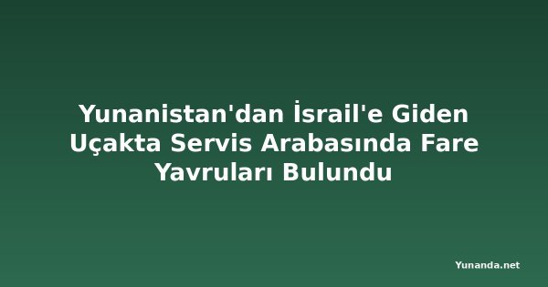 Yunanistan'dan İsrail'e Giden Uçakta Servis Arabasında Fare Yavruları Bulundu