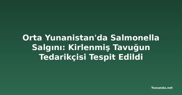 Orta Yunanistan'da Salmonella Salgını: Kirlenmiş Tavuğun Tedarikçisi Tespit Edildi