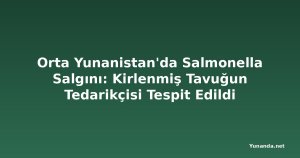 Orta Yunanistan'da Salmonella Salgını: Kirlenmiş Tavuğun Tedarikçisi Tespit Edildi