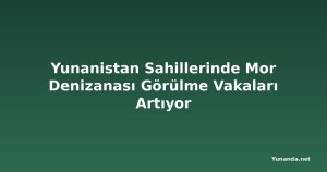 Yunanistan Sahillerinde Mor Denizanası Görülme Vakaları Artıyor