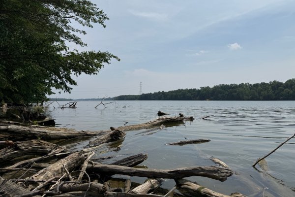 Ohio'da Yüzmeye Çalışan Birini Kurtarma Girişiminde 5 Kişi Hayatını Kaybetti