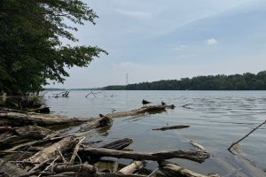 Ohio'da Yüzmeye Çalışan Birini Kurtarma Girişiminde 5 Kişi Hayatını Kaybetti