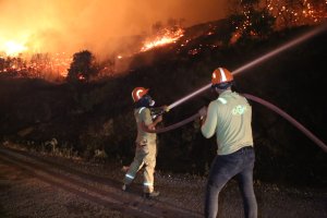 Avrupa'da Yangınlar Fransa ve İspanya'da Hafifliyor, Kıta Genelinde Devam Ediyor