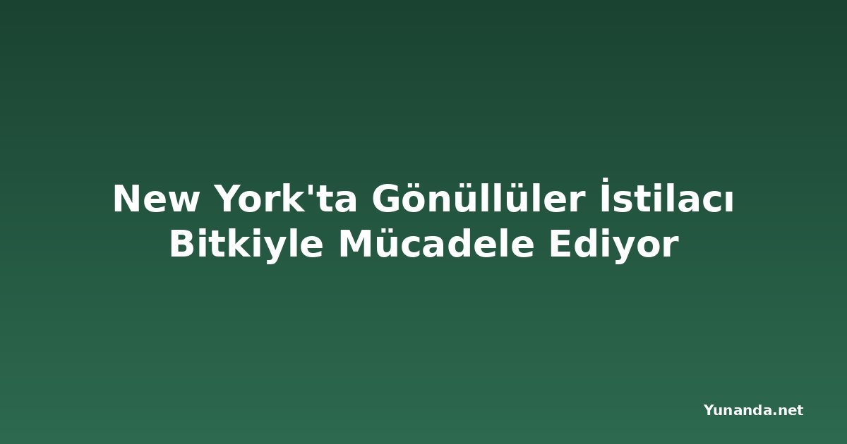 New York'ta Gönüllüler İstilacı Bitkiyle Mücadele Ediyor