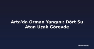 Arta'da Orman Yangını: Dört Su Atan Uçak Görevde