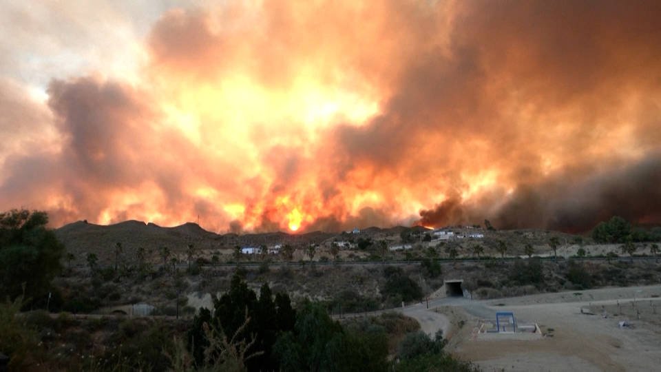 Avrupa'daki Rekor Sıcak Dalgasında Yunanistan, İspanya ve Fransa'da Orman Yangınları Şiddetleniyor