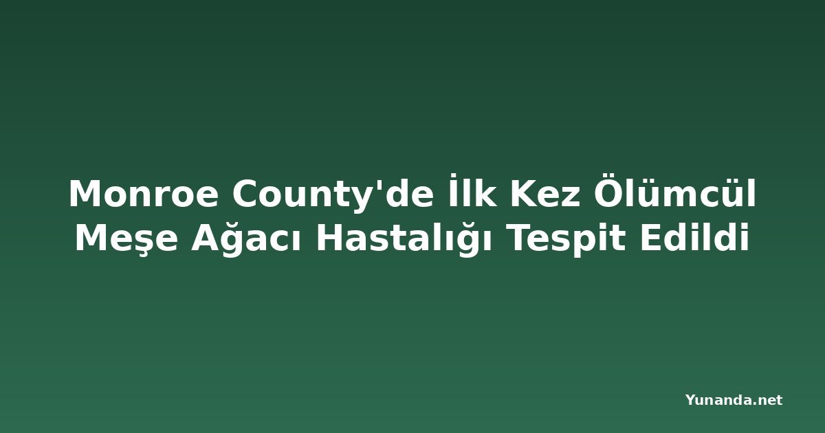 Monroe County'de İlk Kez Ölümcül Meşe Ağacı Hastalığı Tespit Edildi