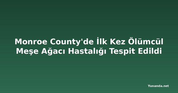 Monroe County'de İlk Kez Ölümcül Meşe Ağacı Hastalığı Tespit Edildi