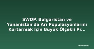 SWDP, Bulgaristan ve Yunanistan'da Arı Popülasyonlarını Kurtarmak İçin Büyük Ölçekli Proje Başlatıyor