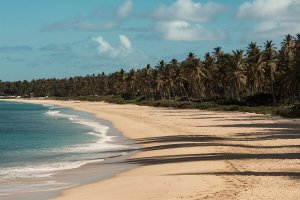 Sri Lanka, 2026 Turizm Sıralamasında Yunanistan'ı Geride Bırakarak Dünyanın En İyi Adası Seçildi