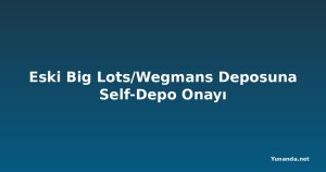Eski Big Lots/Wegmans Deposuna Self-Depo Onayı