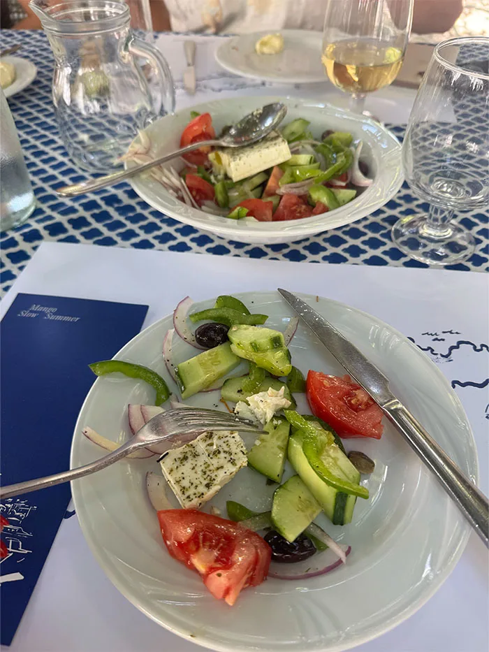 A plate of Mediterranean food.
