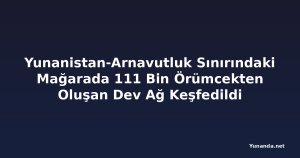 Yunanistan-Arnavutluk Sınırındaki Mağarada 111 Bin Örümcekten Oluşan Dev Ağ Keşfedildi
