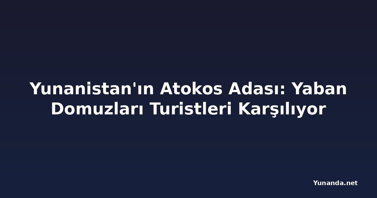 Yunanistan'ın Atokos Adası: Yaban Domuzları Turistleri Karşılıyor