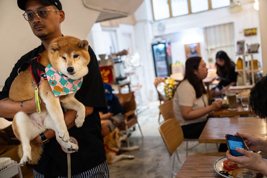 Bir müşteri restoranda köpeğini kucağında tutuyor