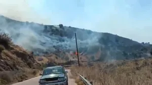 Girit'in Resmo İlçesindeki Büyük Orman Yangınında İki İtfaiyeci Hayatını Kaybetti