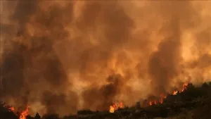 Rodos ve Korfu Adalarında Yangınlar Çıktı