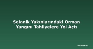 Selanik Yakınlarındaki Orman Yangını Tahliyelere Yol Açtı