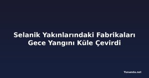 Selanik Yakınlarındaki Fabrikaları Gece Yangını Küle Çevirdi