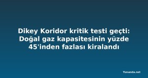 Dikey Koridor kritik testi geçti: Doğal gaz kapasitesinin yüzde 45'inden fazlası kiralandı