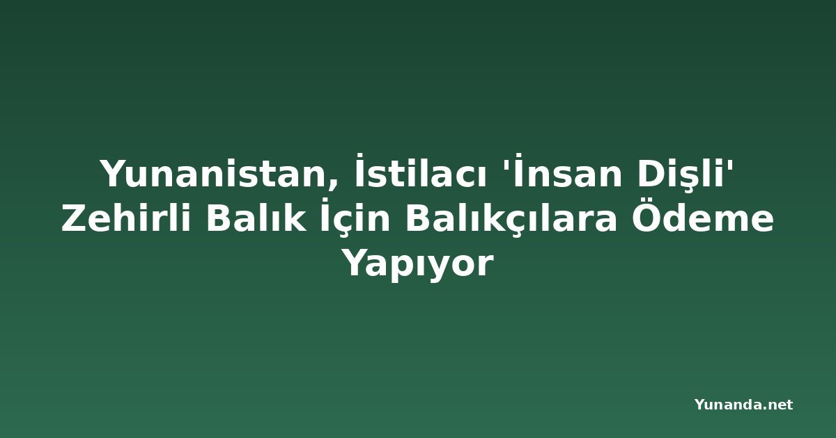 Yunanistan, İstilacı 'İnsan Dişli' Zehirli Balık İçin Balıkçılara Ödeme Yapıyor