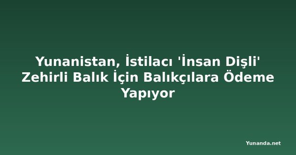 Yunanistan, İstilacı 'İnsan Dişli' Zehirli Balık İçin Balıkçılara Ödeme Yapıyor